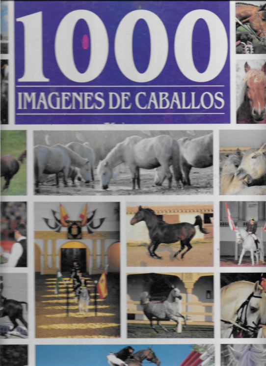 1000 imágenes de caballos.