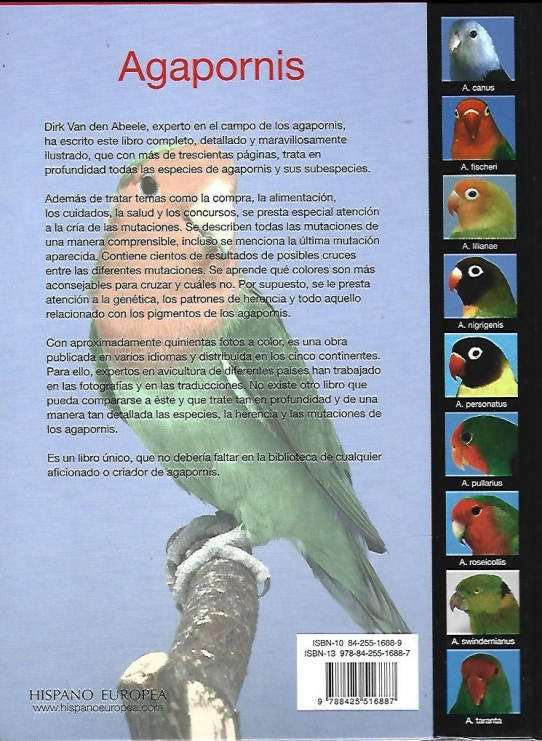 AGAPORNIS (PERIQUITOS DEL AMOR)