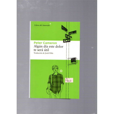 Algún día este dolor te será útil / Peter Cameron