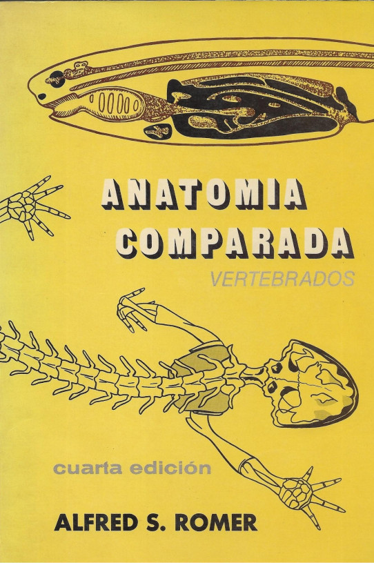 ANATOMIA COMPARADA. INVERTEBRADOS