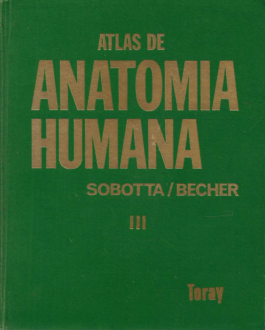 Atlas de anatomia humana. III