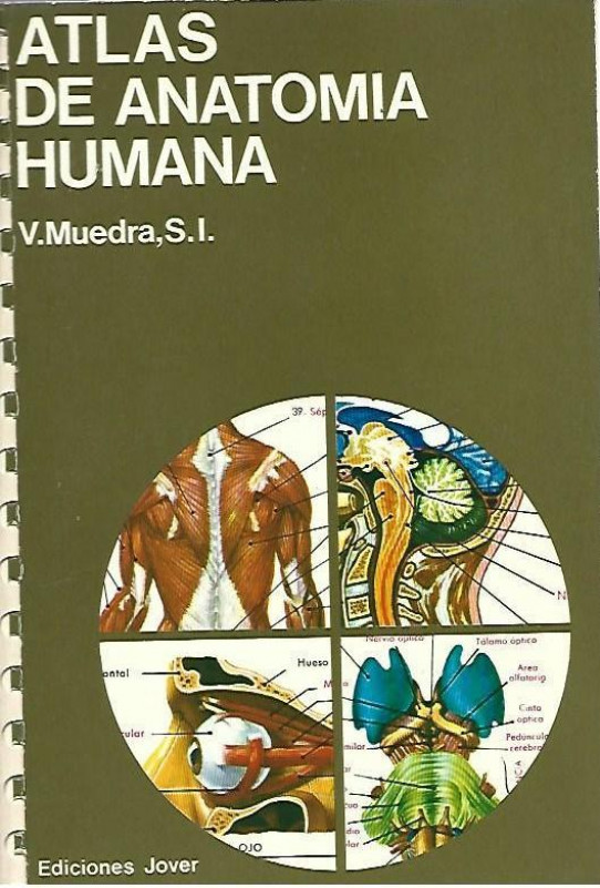 ATLAS DE ANATOMÍA HUMANA