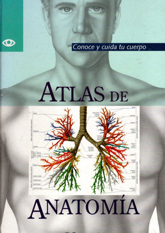 ATLAS DE ANATOMÍA