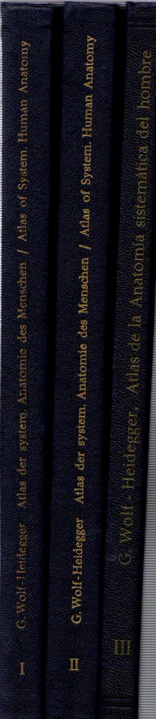 ATLAS DE LA ANATOMÍA SISTEMÁTICA DEL HOMBRE / ATLAS OF SYSTEMATIC HUMAN ANATOMY / ATLAS DER SYSTEMATISCHEN ANATOMIE DES MENSCHEN (3 VOLUMES)