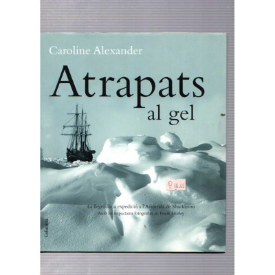 Atrapats al gel / Caroline Alexander