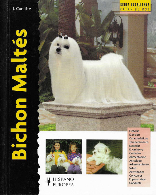 Bichon Maltés.