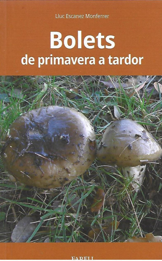 BOLETS DE PRIMAVERA A TARDOR