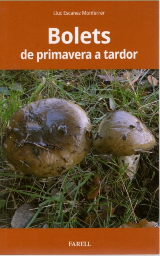 BOLETS DE PRIMAVERA A TARDOR