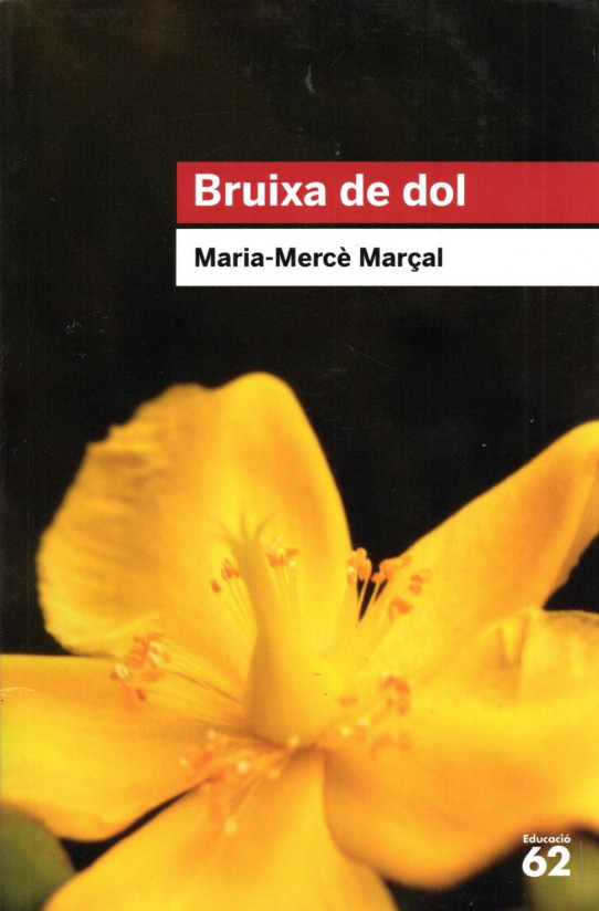 BRUIXA DE DOL