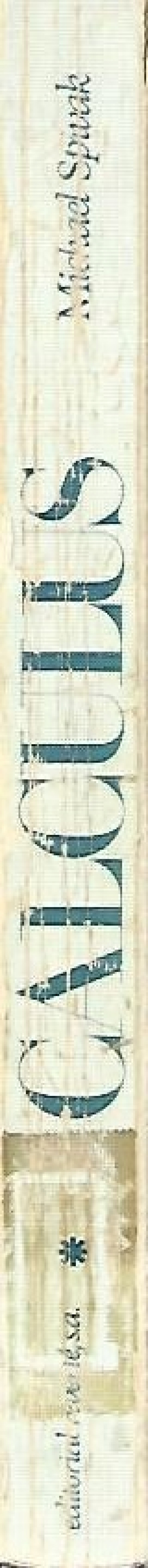 CALCULUS: CÁLCULO INFINITESIMAL (VOL 1)