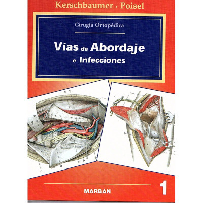 Cirugía Ortopédica. Vías de Abordje e Infecciones / Bauer, Kerschbaumer y Poisel