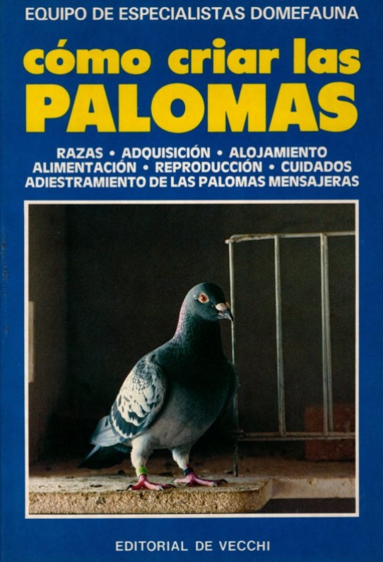 CÓMO CRIAR LAS PALOMAS