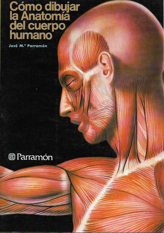 Cómo dibujar la Anatomía del cuerpo humano.