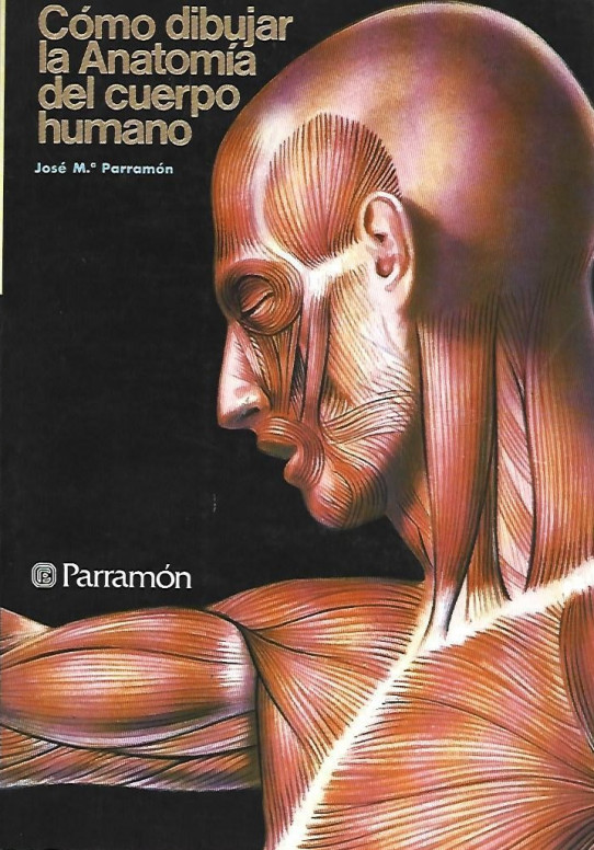 CÓMO DIBUJAR LA ANATOMIA DEL CUERPO HUMANO