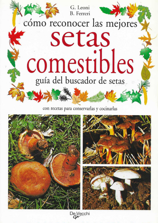 Cómo reconocer las mejores setas comestibles, guía del buscador de setas.