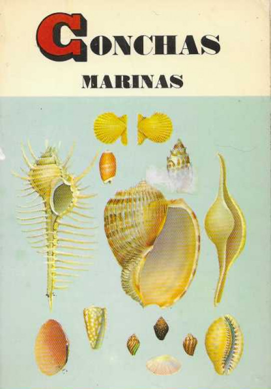 CONCHAS MARINAS.