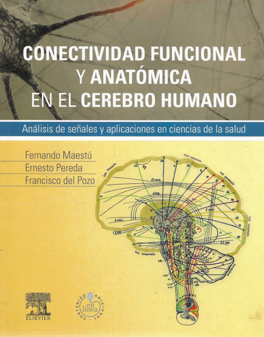 CONECTIVIDAD FUNCIONAL Y ANATÓMICA EN EL CEREBRO HUMANO. Análisis de señales y aplicaciones en ciencias de la salud.