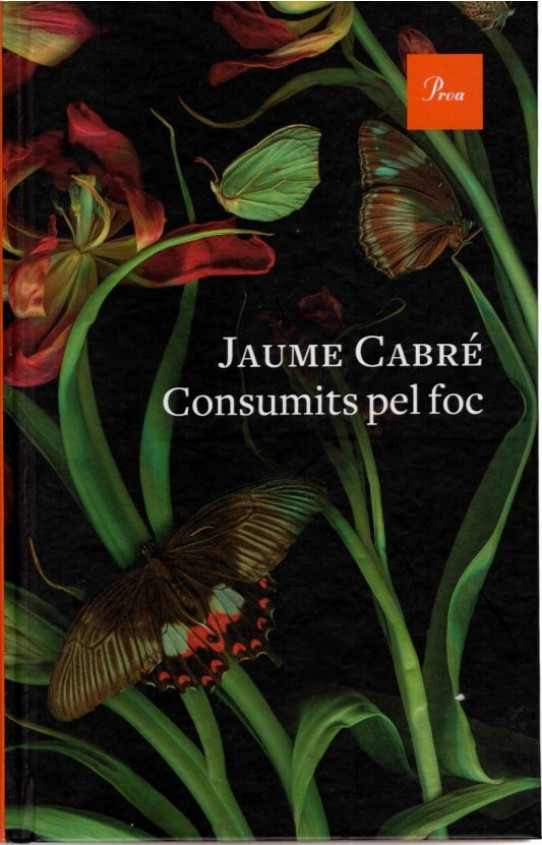 CONSUMITS PEL FOC