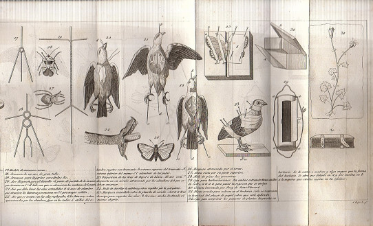 CUADERNOS DE HISTORIA NATURAL