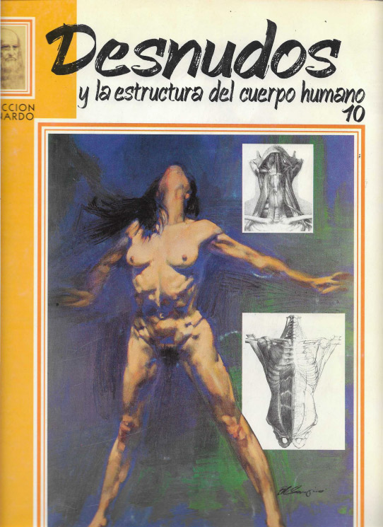 Desnudos y la estructura del cuerpo humano.