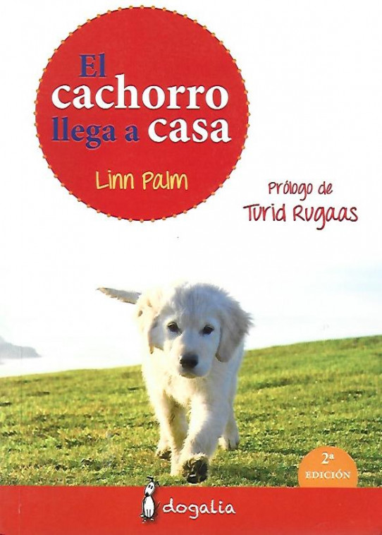 EL CACHORRO LLEGA A CASA
