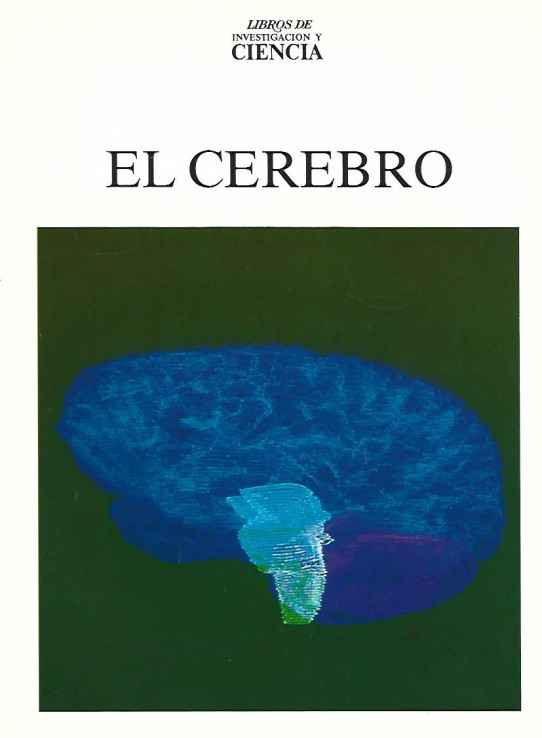 EL CEREBRO