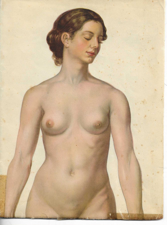 El cuerpo femenino