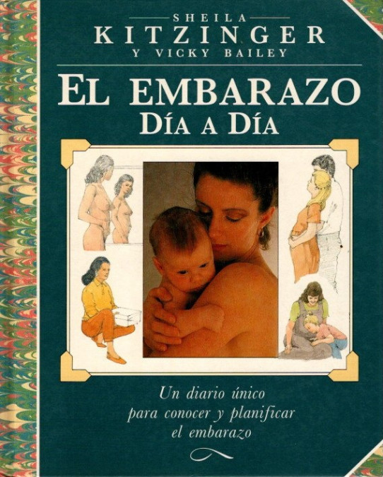 EL EMBARAZO DÍA A DÍA