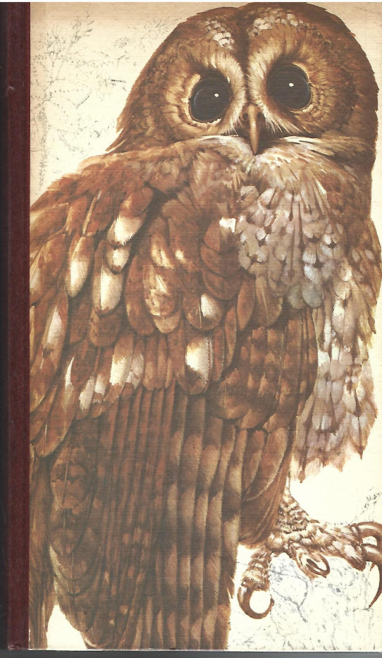 EL LIBRO DE LAS AVES DE ESPAÑA