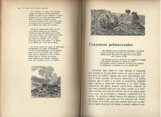 EL LIBRO DE LAS TIERRAS VIRGENES