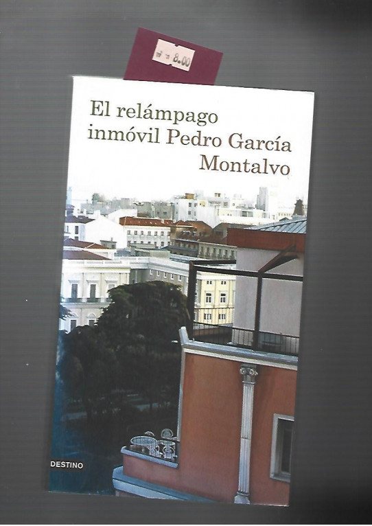 El relampago inmóvil