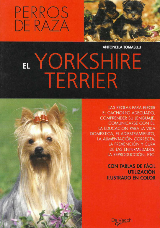 El Yorkshire Terrier