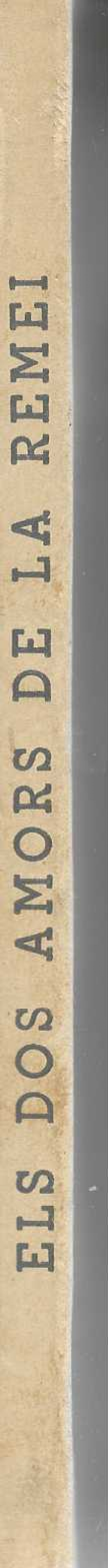 Els dos amors de la Remei.