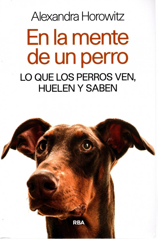 EN LA MENTE DE UN PERRO