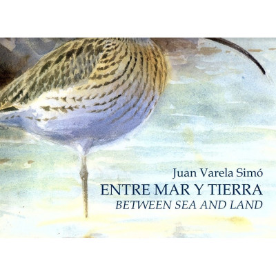 Entre mar y tierra / Juan Varela Simó