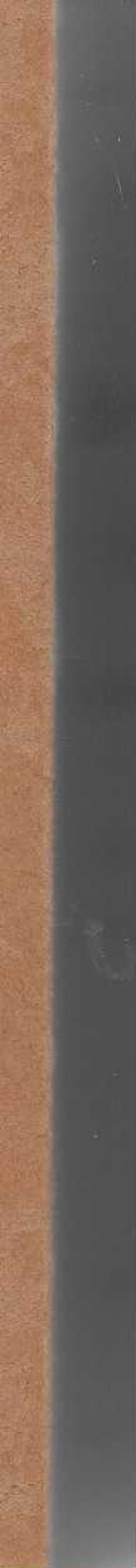 Estudis de terrissa catalana. Precedits d'un preliminar sobre les bases científiques de la ceràmica.