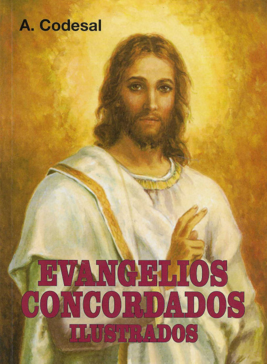 Evangelios concordados ilustrados.