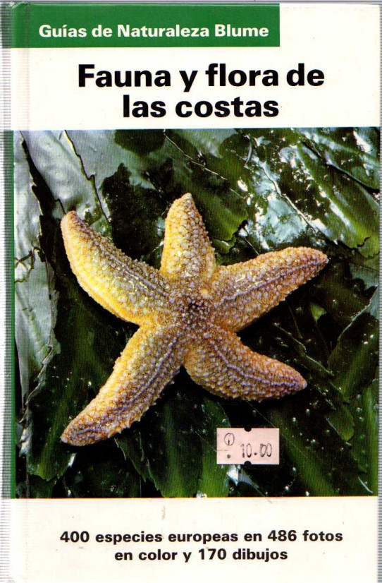 FAUNA Y FLORA DE LAS COSTAS