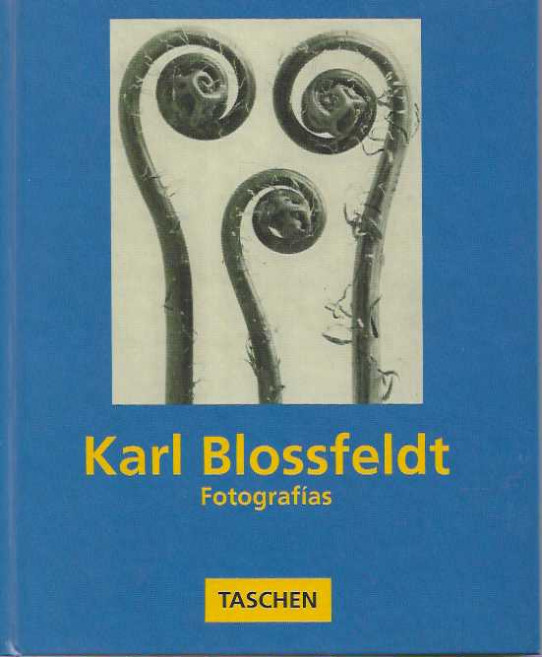 FOTOGRAFÍAS. KARL BLOSSFELDT.