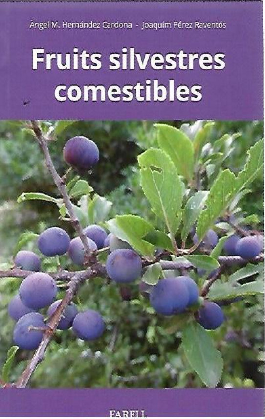FRUITS SILVESTRES COMESTIBLES