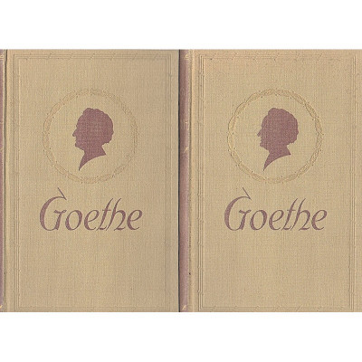 Goethe. Historia de un hombre. / Emil Ludwig, Ricardo Baeza (trad.)