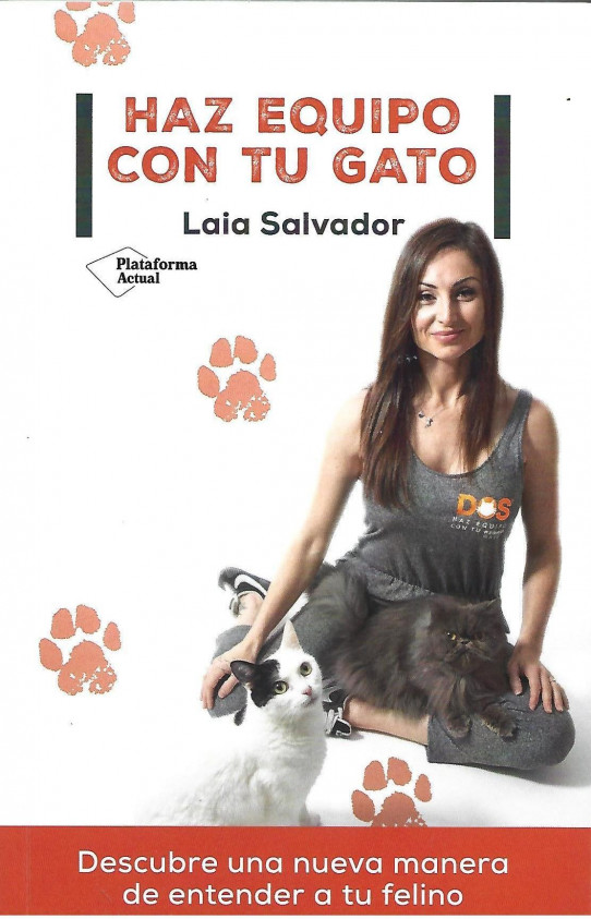 HAZ EQUIPO CON TU GATO