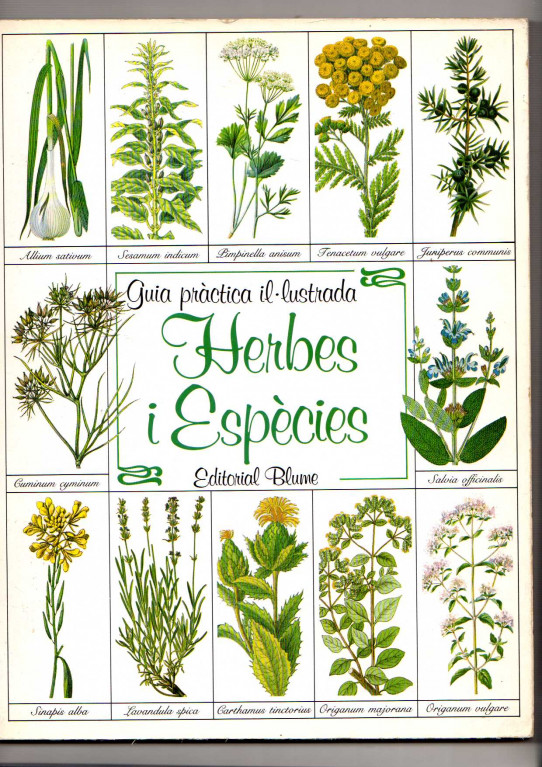 HERBES I ESPÈCIES