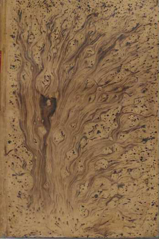 Historia de un pedazo de carbón.