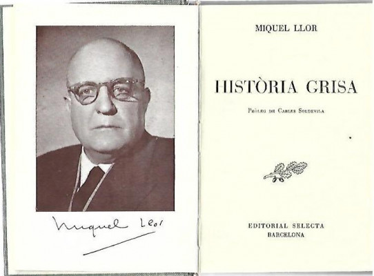 HISTORIA GRISA  (Miquel Llor)