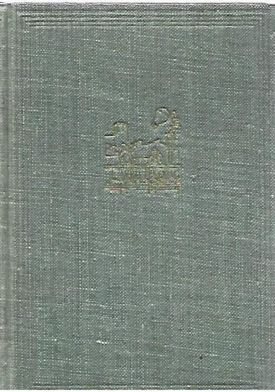HISTORIA GRISA  (Miquel Llor)