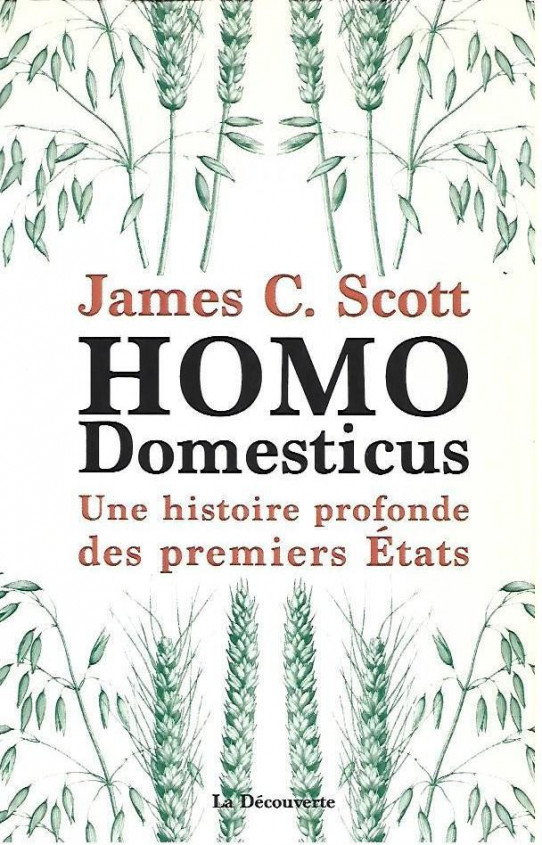 HOMO DOMESTICUS. Une historire profonde des premiers États