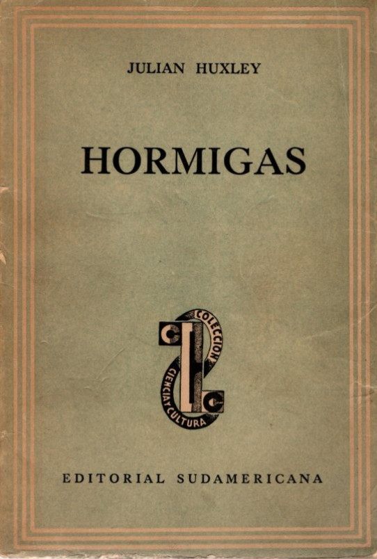 HORMIGAS