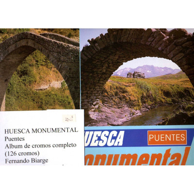 Huesca Monumental Puentes / Fernando Biarge