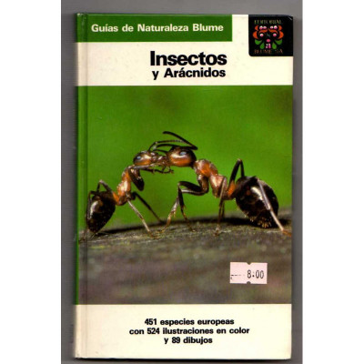 Insectos y arácnidos / Helgard Reichholf-Riehm